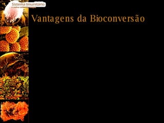Vantagens da Bioconversão Obtenção de produtos que resultam de vias metabólicas complexas e cuja síntese  in vitro  é dificil, se não mesmo impossível. Diminuição do número de etapas necessárias para a obtenção do produto o que torna a sua produção mais rápida e económica. Maior grau de pureza dos produtos obtidos, diminuindo o risco de reacções alérgicas. 