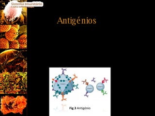 Antigénios <ul><li>Os antigénios, ou antigenes, podem ser moléculas pertencentes a vírus, bactérias ou protozoários, moléc...