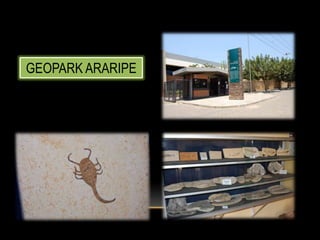 GEOPARK ARARIPE
 