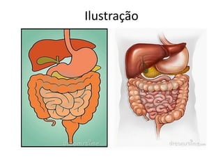 Ilustração
 