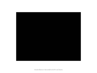 Escola Básica e Secundária de M. do Douro
 