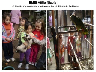 EMEI Atílio Nicola
Cuidando e preservando a natureza – Meta1: Educação Ambiental
 