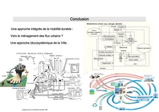 Conclusion

Une approche intégrée de la mobilité durable :

Vers le ménagement des flux urbains ?

Une approche (éco)systémique de la Ville .

                                                                




         Duvignaux Paul, Les écosystèmes bruxellois, 1985
 