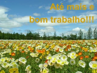 Até mais e
bom trabalho!!!
 