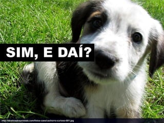 SIM, E DAÍ?



http://direitosdosanimais.com/fotos-caes/cachorro-curioso-001.jpg
 