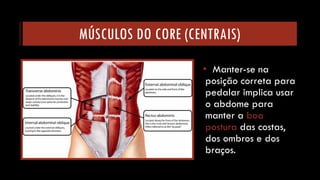 MÚSCULOS DO CORE (CENTRAIS) 
•Manter-se na posição correta para pedalar implica usar o abdome para manter a boa posturadas costas, dos ombros e dos braços.  