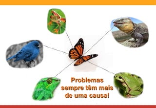 Problemas sempre têm mais de uma causa! 