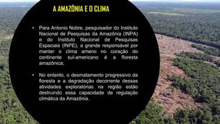 22
A AMAZÔNIA E O CLIMA
• Para Antonio Nobre, pesquisador do Instituto
Nacional de Pesquisas da Amazônia (INPA)
e do Instituto Nacional de Pesquisas
Espaciais (INPE), a grande responsável por
manter o clima ameno no coração do
continente sul-americano é a floresta
amazônica;
• No entanto, o desmatamento progressivo da
floresta e a degradação decorrente dessas
atividades exploratórias na região estão
destruindo essa capacidade de regulação
climática da Amazônia.
 