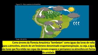 Como árvores da Floresta Amazônica “bombeiam” como águas das luvas de volta
para a atmosfera, através de um fenômeno denominado evapotranspiração, ou seja, a água
das luvas que fica retida nas copas das árvores evapora e permanece na atmosfera em forma
de umidade.
Figura 10 – Rios voadores da Amazônia
Fonte: VIX (2015)
 