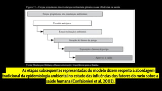 As etapas subseqüentes representadas do modelo dizem respeito à abordagem
tradicional da epidemiologia ambiental no estudo das influências dos fatores do meio sobre a
saúde humana (Confalonieri et al, 2002).
Figura 11 – Forças propulsoras das mudanças ambientais globais e suas influências na saúde
Fonte: Mudanças Globais e Desenvolvimento: Importância para a Saúde
 