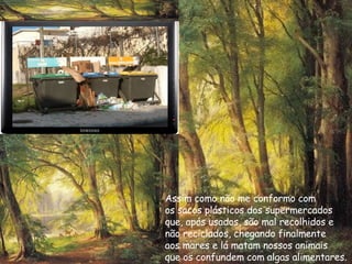 Assim como não me conformo com os sacos plásticos dos supermercados que, após usados, são mal recolhidos e  não reciclados, chegando finalmente  aos mares e lá matam nossos animais  que os confundem com algas alimentares. 