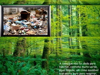 A casa que nos foi dada para habitar, continha muito verde, água límpida, um clima saudável e ar muito puro para respirar. 