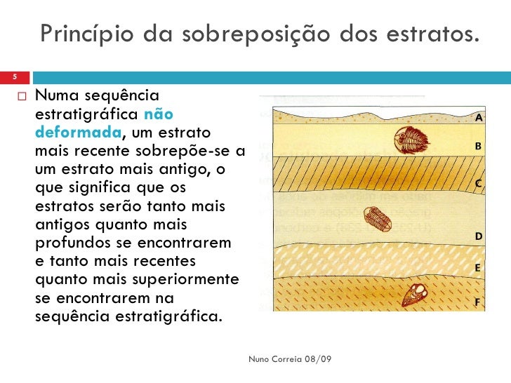 Resultado de imagem para principios estratigráficos: sobreposição, horizontalidade, identidade paleontológica