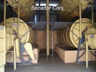 Secador Conj.
 
