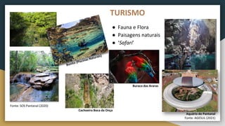 ● Fauna e Flora
● Paisagens naturais
● ‘Safari’
TURISMO
Aquário do Pantanal
Fonte: AGESUL (2021)
Fonte: SOS Pantanal (2020)
Cachoeira Boca da Onça
Buraco das Araras
 
