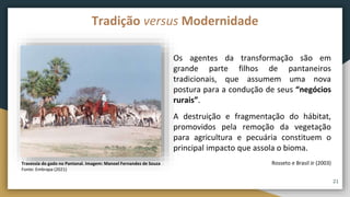 Os agentes da transformação são em
grande parte filhos de pantaneiros
tradicionais, que assumem uma nova
postura para a condução de seus “negócios
rurais”.
A destruição e fragmentação do hábitat,
promovidos pela remoção da vegetação
para agricultura e pecuária constituem o
principal impacto que assola o bioma.
Rosseto e Brasil Jr (2003)
Tradição versus Modernidade
21
Travessia do gado no Pantanal. Imagem: Manoel Fernandez de Souza
Fonte: Embrapa (2021)
 