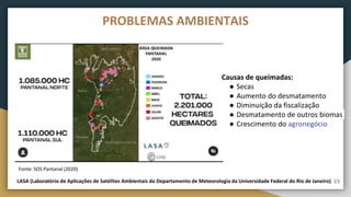 23
PROBLEMAS AMBIENTAIS
Causas de queimadas:
● Secas
● Aumento do desmatamento
● Diminuição da fiscalização
● Desmatamento de outros biomas
● Crescimento do agronegócio
Fonte: SOS Pantanal (2020)
LASA (Laboratório de Aplicações de Satélites Ambientais do Departamento de Meteorologia da Universidade Federal do Rio de Janeiro)
 
