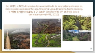 24
Em 2019, o INPE divulgou a taxa consolidada de desmatamento para os
nove estados componentes da Amazônia Legal Brasileira. Neste ranking,
o Mato Grosso ocupou o 2º lugar, contribuindo em 16,80% para o
desmatamento (INPE, 2020).
Fonte: SOS Pantanal
 