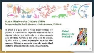 Global Biodiversity Outlook (GBO)
Programa das Nações Unidas para o Meio Ambiente (PNUMA)
O Brasil é o país com a maior biodiversidade do
planeta e sua economia depende fortemente dessa
riqueza natural, que está cada vez mais ameaçada
pela atividade humana e por uma série de fatores,
ligados entre si, como exploração excessiva dos
recursos hídricos e naturais, uso não sustentável
da terra, pressão do aumento demográfico etc.
31
 