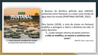 A Reserva da Biosfera definida pela UNESCO,
conhecida como Pantanal, é a maior zona úmida de
água doce do mundo (PANTANAL NATURE, 2021).
Para Santos (2018), o ciclo de cheias no Pantanal
modifica a paisagem e altera a dinâmica da vida. O
autor descreve:
“(...) tudo sempre retorna ao ponto anterior:
a vida se modifica, se renova e continua seu
curso”.
(SANTOS, 2018 - grifo nosso)
É a maior planície inundável do mundo
considerando Patrimônio Nacional
7
 