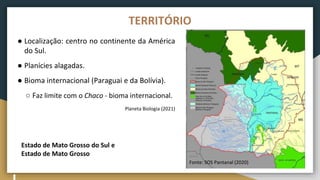 ● Localização: centro no continente da América
do Sul.
● Planícies alagadas.
● Bioma internacional (Paraguai e da Bolívia).
○ Faz limite com o Chaco - bioma internacional.
Planeta Biologia (2021)
TERRITÓRIO
Fonte: SOS Pantanal (2020)
Estado de Mato Grosso do Sul e
Estado de Mato Grosso
 