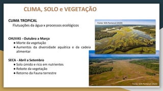 CLIMA, SOLO e VEGETAÇÃO
CHUVAS - Outubro a Março
● Morte da vegetação
● Aumentos da diversidade aquática e da cadeia
alimentar
SECA - Abril a Setembro
● Solo úmido e rico em nutrientes
● Rebote da vegetação
● Retorno da Fauna terrestre
CLIMA TROPICAL
Flutuações da água x processos ecológicos
9
Fonte: SOS Pantanal (2020)
Fonte: SOS Pantanal (2020)
 