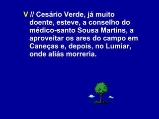 V  // Cesário Verde, já muito doente, esteve, a conselho do médico-santo Sousa Martins, a aproveitar os ares do campo em Caneças e, depois, no Lumiar, onde aliás morreria. 
