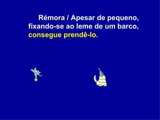 Rémora / Apesar de pequeno, fixando-se ao leme de um barco,  consegue prendê-lo. 