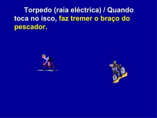 Torpedo (raia eléctrica) / Quando toca no isco,  faz tremer o braço do pescador. 
