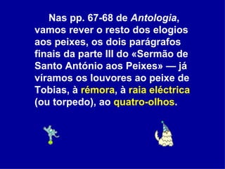 Nas pp. 67-68 de  Antologia , vamos rever o resto dos elogios aos peixes, os dois parágrafos finais da parte III do «Sermão de Santo António aos Peixes» — já víramos os louvores ao peixe de Tobias, à  rémora , à  raia eléctrica  (ou torpedo), ao  quatro-olhos . 
