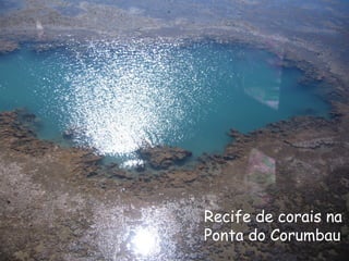 Recife de corais na Ponta do Corumbau 