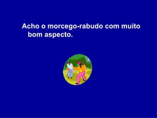 Acho o morcego-rabudo com muito bom aspecto. 
