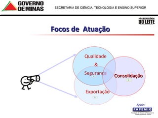Focos de  Atuação Consolidação Qualidade & Segurança Exportação Apoio:  