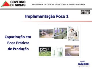 Capacitação em  Boas Práticas de Produção Implementação Foco 1 Apoio:  