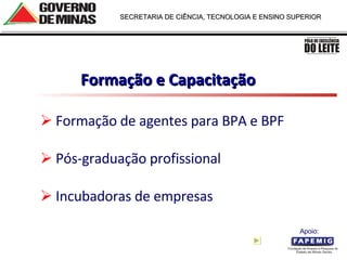Formação e Capacitação Formação de agentes para BPA e BPF Pós-graduação profissional   Incubadoras de empresas  Apoio:  