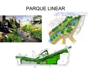 PARQUE LINEAR
 