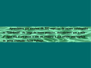 Aprendemos que existem 28.500 espécies de peixes catalogados na FISHBASE. Ao longo da nossa pesquisa, descobrimos que a mãe d' água não é um peixe e sim um cnidário e que existe uma espécie de peixe chamada: Peixe Palhaço. 