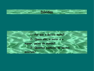 Dúvidas 1- Por que o Baiacu incha? 2- Quais são, o maior e o  menor, peixe do mundo? 3- Quantas espécies de peixes  existem? 