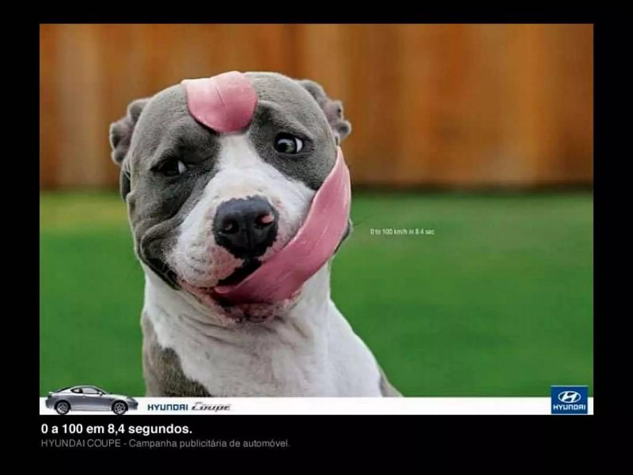 Photoshop - Edição e Tratamento de Imagens