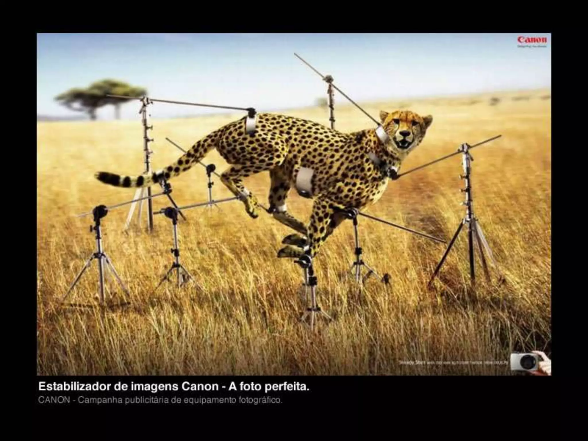 Photoshop - Edição e Tratamento de Imagens