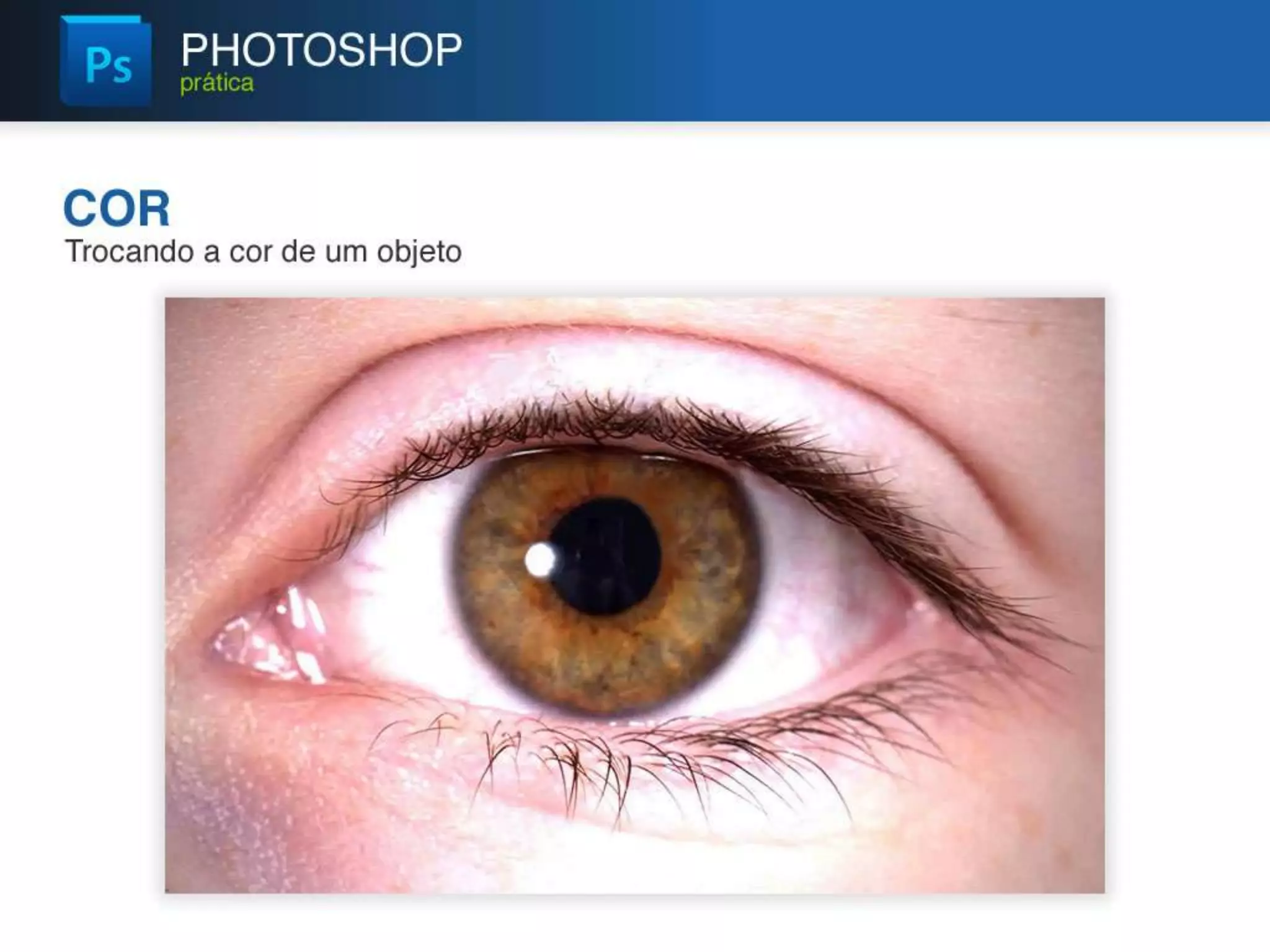 Photoshop - Edição e Tratamento de Imagens