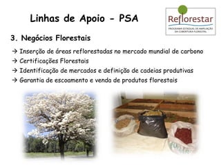 3. Negócios Florestais    Inserção de áreas reflorestadas no mercado mundial de carbono    Certificações Florestais    Identificação de mercados e definição de cadeias produtivas    Garantia de escoamento e venda de produtos florestais Linhas de Apoio - PSA 