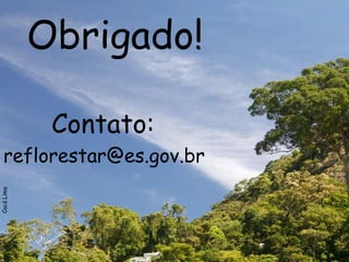 reflorestar@es.gov.br  Obrigado! Contato: Cacá Lima 