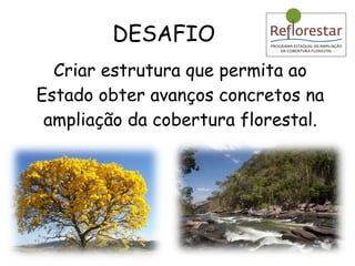 DESAFIO Criar estrutura que permita ao Estado obter avanços concretos na ampliação da cobertura florestal. 