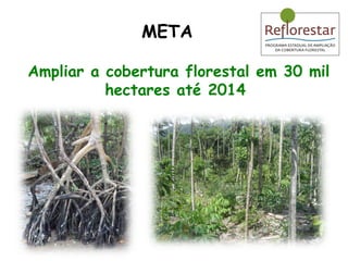 META Ampliar a cobertura florestal em 30 mil hectares até 2014 