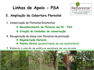 Conservação de Florestas Existentes    Reconhecimento de Floresta em Pé – PSA    Criação de Unidades de conservação Recuperação de áreas com florestas de proteção     Regeneração Natural     Plantio Direto  (possibilidade de uso sustentável) Estímulo a adoção de práticas amigáveis de uso do solo 2. Ampliação da Cobertura Florestal Linhas de Apoio - PSA 