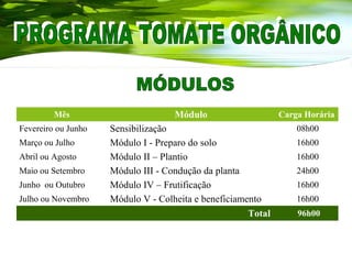 Mês Módulo Carga Horária
Fevereiro ou Junho Sensibilização 08h00
Março ou Julho Módulo I - Preparo do solo 16h00
Abril ou Agosto Módulo II – Plantio 16h00
Maio ou Setembro Módulo III - Condução da planta 24h00
Junho ou Outubro Módulo IV – Frutificação 16h00
Julho ou Novembro Módulo V - Colheita e beneficiamento 16h00
Total 96h00
 