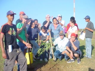 PROGRAMAS E CURSOS PONTUAIS AREA RURAL