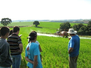 PROGRAMAS E CURSOS PONTUAIS AREA RURAL