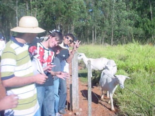 PROGRAMAS E CURSOS PONTUAIS AREA RURAL